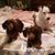Glenda Pickett's profile image