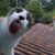 Kathy Ellis's profile image