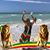 Debra Sunshine Enger's profile image