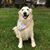 Terry Taylor's profile image