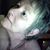Mimi Williamson's profile image