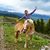 Kate James Barnes's profile image