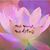 Lisa M Bowman's profile image