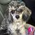Nelisa Thomas's profile image
