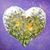 Lisa J Wloch's profile image