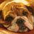 Lynn Murphy's profile image