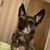 Rachel Yohn's profile image