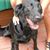 Mary Ann Flora's profile image