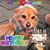 Penny Higgins's profile image
