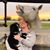 Kellie Kathryn's profile image