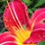Bonnie Mahl's profile image