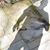 Andrew Steer's profile image