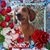 Marcy Sperling's profile image