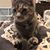 Callie Kruggel's profile image