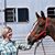 Rebecca Gorrell's profile image