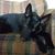 Elaine Hurrle's profile image