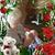 Jo Hartman's profile image