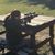 Alisha Roush's profile image