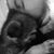 Deidre Yinger's profile image
