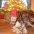 Linda Rhinehart's profile image