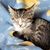 Erin Anderson's profile image