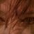 Gin Anderson's profile image
