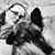 Megan Cupp's profile image