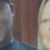 Donna Nanney Sutton's profile image