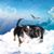 Victoria Harrison-Dresher's profile image