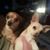 Linda Sue Hofmann's profile image