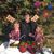 Tanya Hague Doehr's profile image
