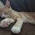 Brenda Marie's profile image