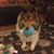 Joanna Diorio's profile image