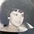 Rita Gonzales's profile image
