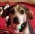 Meggie Beanie's profile image
