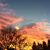 Jill Antone-Malone's profile image