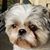 Nora L Hilgeman's profile image
