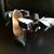 Mickey Stewart Staudt's profile image