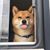 Kat Farmer's profile image