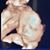 JamieAndrea Lewis's profile image