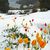 Tasha Straatsma Phinney's profile image