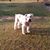 Marlene Hart's profile image