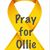 MiAnn Reavis Townsend's profile image