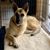 Kathy Kresge's profile image