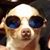 Steve Plotner's profile image