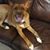 Anidia N Ricardo Munoz's profile image