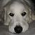 Sandy Duggan's profile image