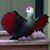 Kathleen Kershaw's profile image