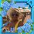 Maria Acevedo's profile image