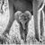 Tami Jay's profile image
